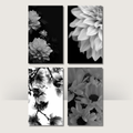 Monochrome Blooms | A6 Cash Binder Dashboards