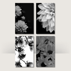 Monochrome Blooms | A6 Cash Binder Dashboards