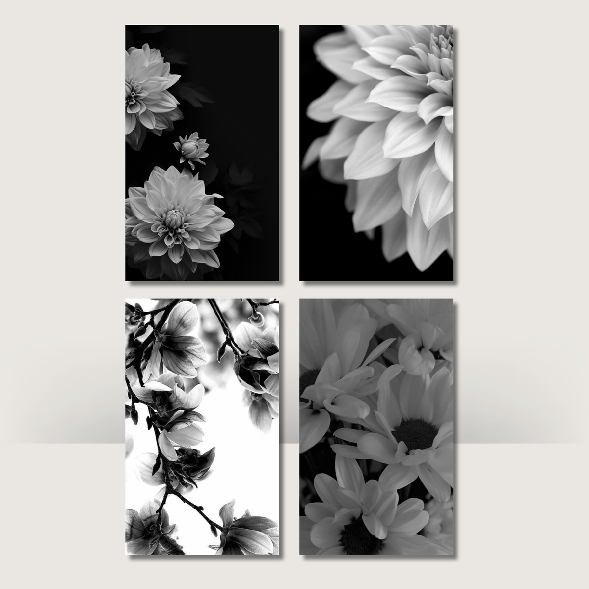 Monochrome Blooms | A6 Cash Binder Dashboards
