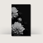 Monochrome Blooms | A6 Cash Binder Dashboards