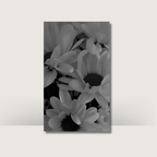 Monochrome Blooms | A6 Cash Binder Dashboards
