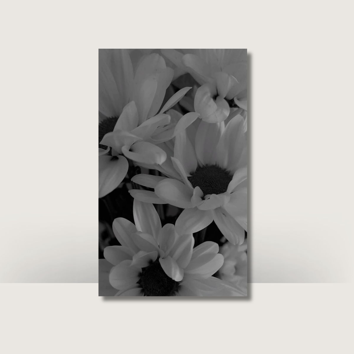 Monochrome Blooms | A6 Cash Binder Dashboards