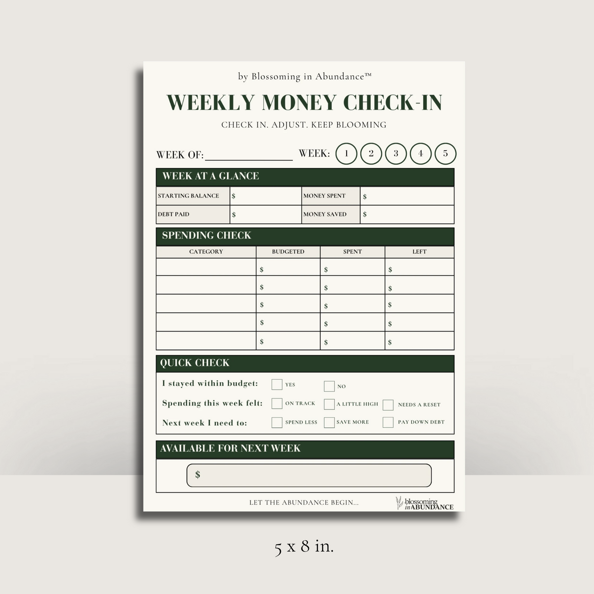Weekly Money Check-In